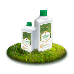 NATURAL VITAM – Vitamine Naturale pentru Albine