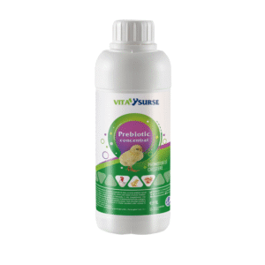 Prebiotic concentrat