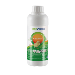 VITA SURSE Salix Plus – Atiinflamator, Antipiretic, Antidiareic