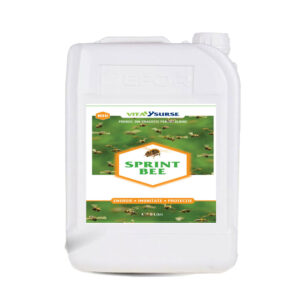 SPRINT BEE– Energie, Protectie, Imunitate