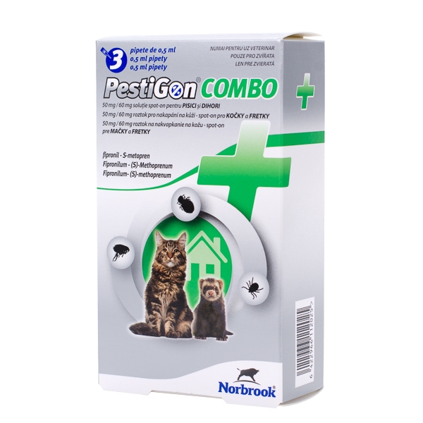Pestigoncombo Cat