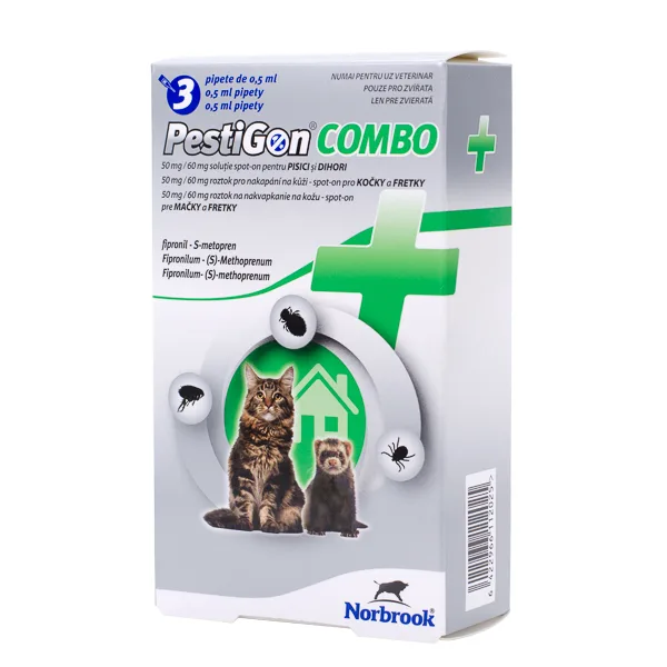 Pestigoncombo Cat