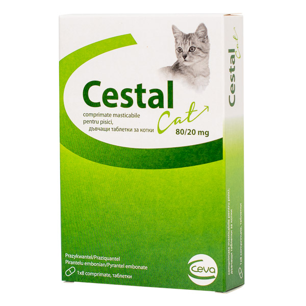 Cestal Cat
