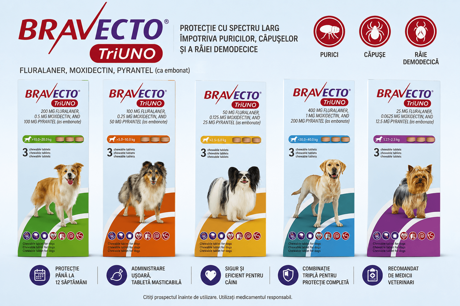 Bravecto Triuno